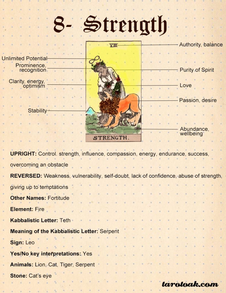 Strength Tarot Card Meanings Keywords Symbolism Love And Career