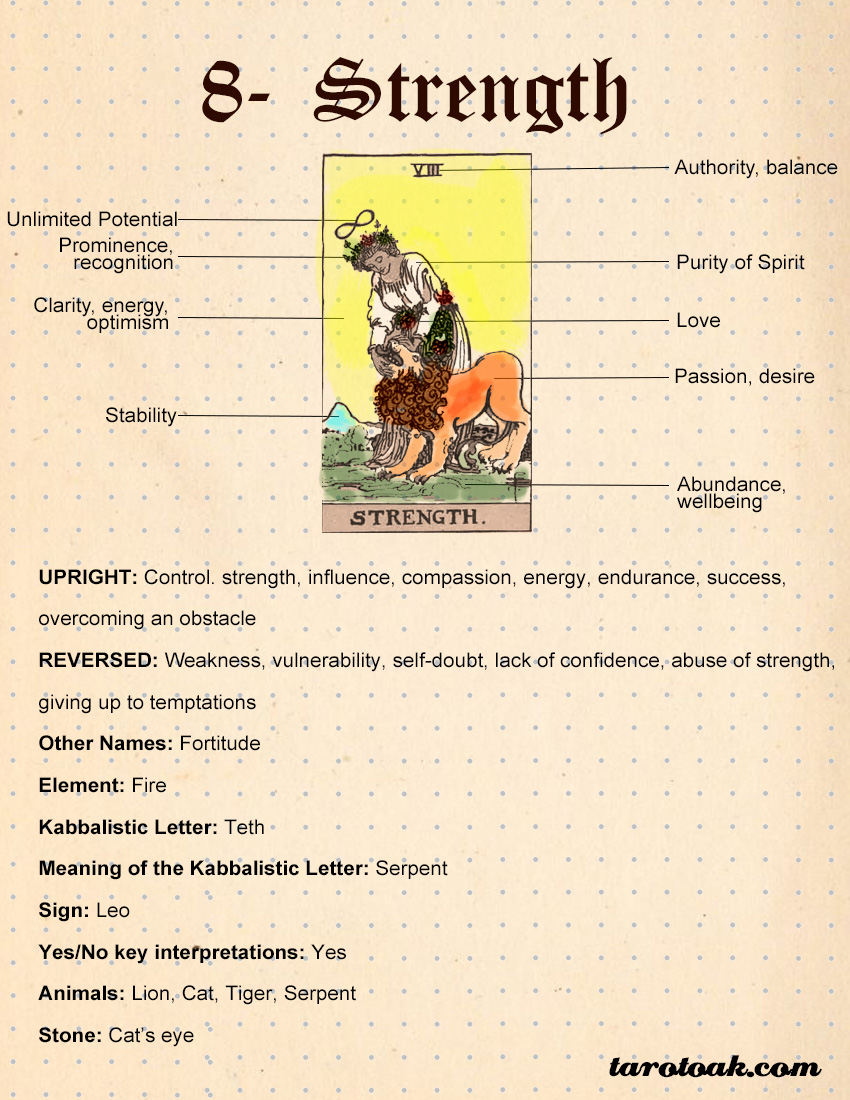 Strength Tarot Card Meanings, Keywords, Symbolism, Love, and Career