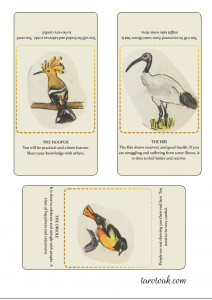 hoopoe, ibis and oriole oracle cards