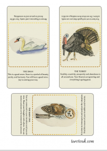 Swan, turkey and barn owl, birds of omen oracle