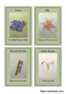 Flower Power Oracle Cards Page 2